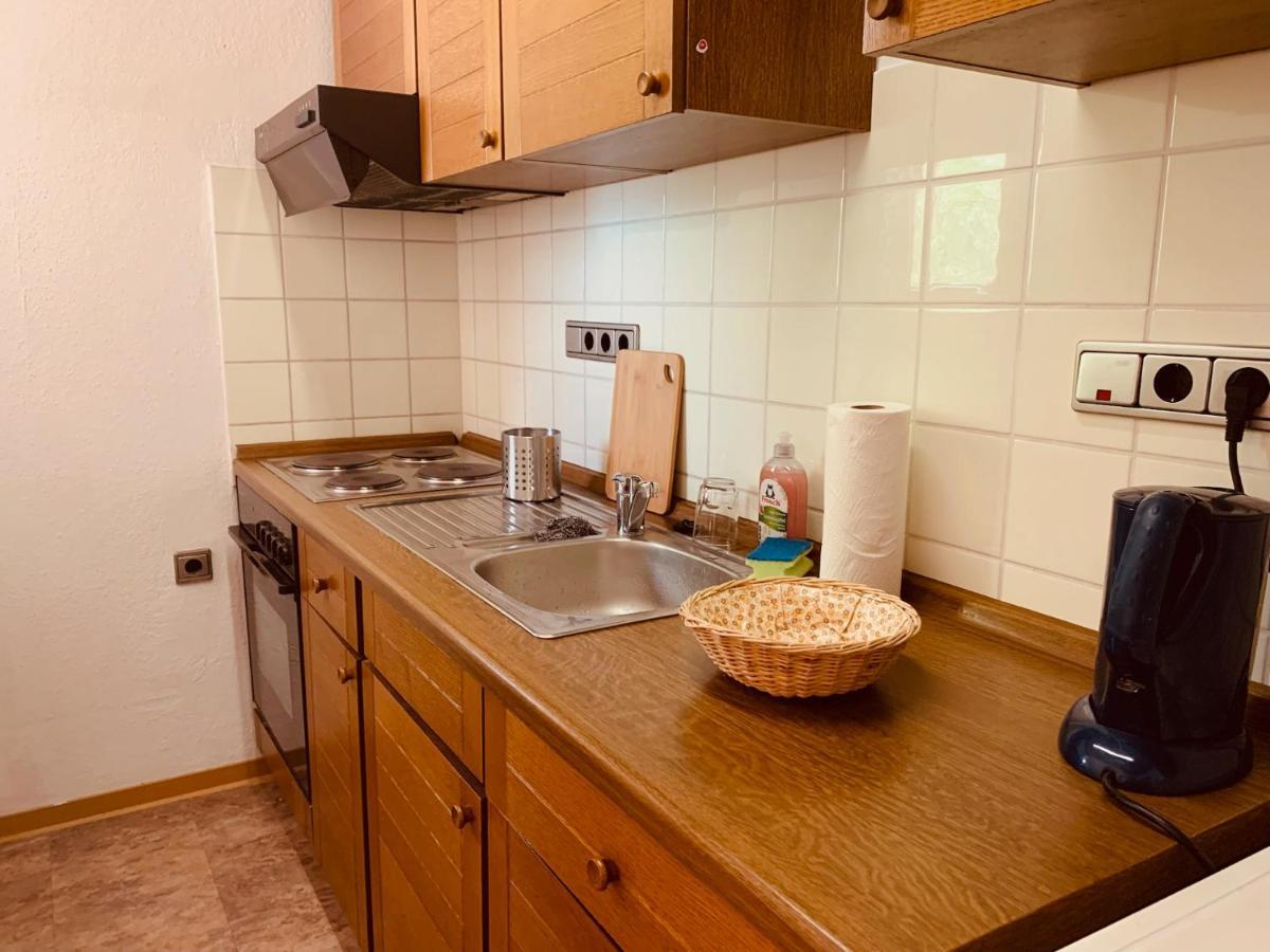 Gemuetliche Wohnung Bergblick Bad Harzburg Eksteriør bilde